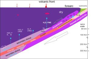 Subduction : How some elements enter deep into the mantle