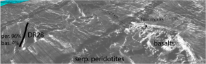 Exhumation et serpentinisation de péridotites du manteau aux dorsales