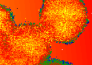 Rechargeable natural nanobatteries : diving into nanomagnetites on an atomic scale