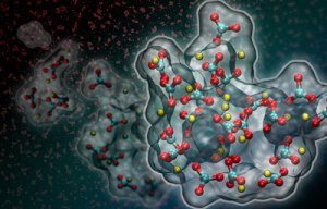 La formation des carbonates vue à l'échelle nanométrique 