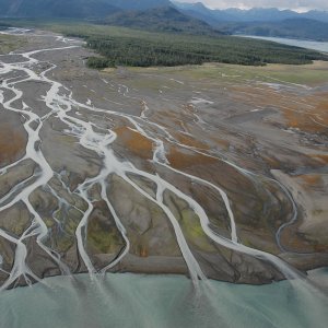 Quand la dynamique des paysages sculpte la biodiversité