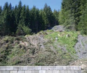 Les Diablerets (Pont Bourquin, Suisse)