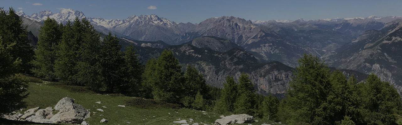 New geophysical "scan" of the Alps helps explain current deformation field