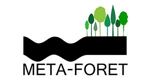 L'expérience META-FORET jour après jour