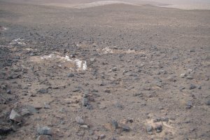 Preservation of traces of life under extreme environments mimicking ancient conditions on Mars
