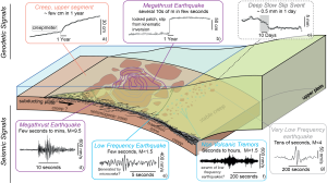 Seismic and aseismic behavior of fault zones : influence of the coupling between fault slip and the conjointly evolving medium