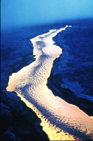 Archean komatiite volcanism controlled by the evolution of early continents