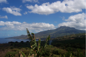 Tracer les flux chimiques sous les Antilles
