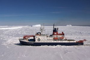 Pourquoi la faune arctique est-elle aussi fortement contaminée par le mercure ?