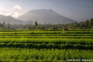 Bali : le volcan Agung de plus en plus actif