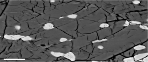 Des tremblements de terre au laboratoire, ou comment je me suis mis à aimer la minéralogie