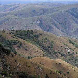 A la recherche des plus anciennes traces de vie sur Terre 