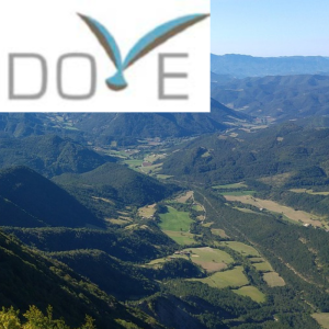 Séminaire DOVE 2026