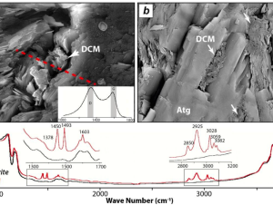 When Silicates Protect Abiotic Organic Carbon All the Way to the Mantle
