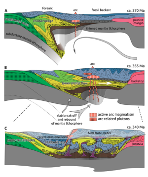 Anatomy of a diffuse cryptic suture zone exemplified by European Variscan belt : a new concept of continental tectonics called diffuse supra-subduction orogeny