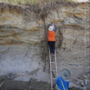 Les migrations de l'Homo erectus javanais il y a 1,8 millions d'années environ 