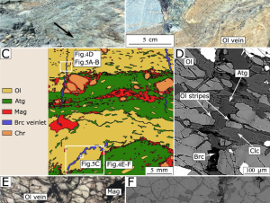 Massive Mg-rich fluid release across the brucite + serpentine reaction in subduction zones